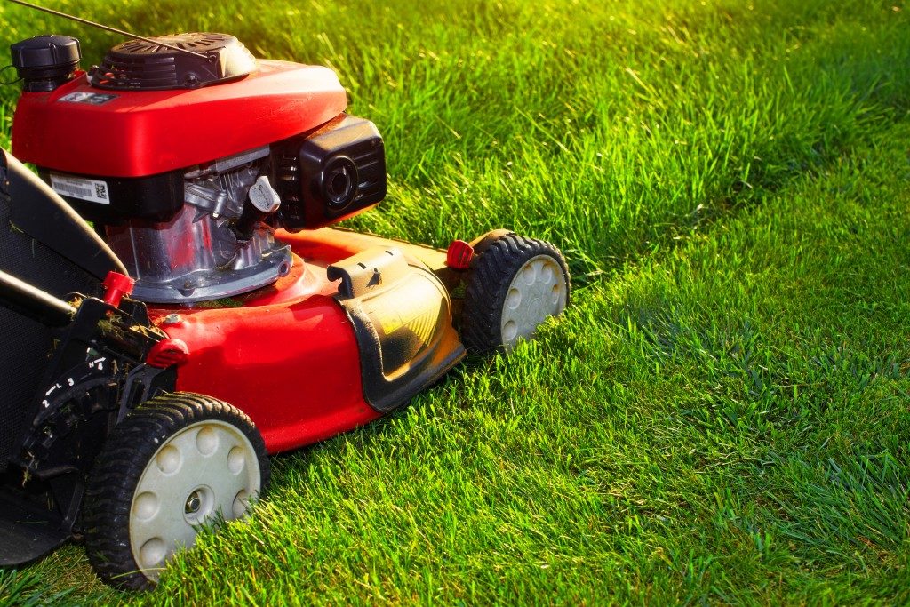 red lawn mower on the grass