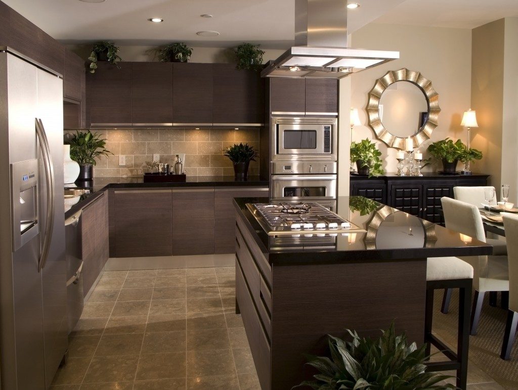 dark brown kitchen interior design
