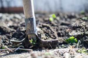 shovel for backyard garden