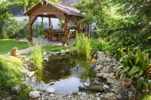 small pond in the backyard