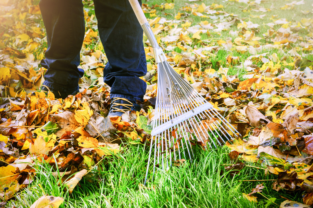 a picture of a person raking leaves on the grass